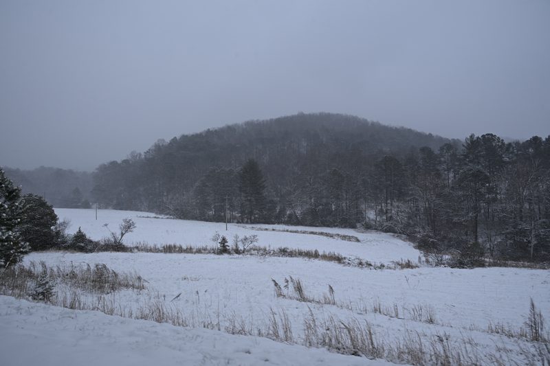 DSC_0216.JPG